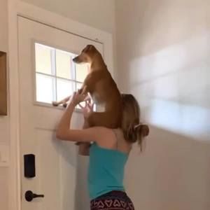 Meet your Posher, Ariel